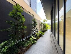 Elizabeth Drive (D23), Terrace #555697531